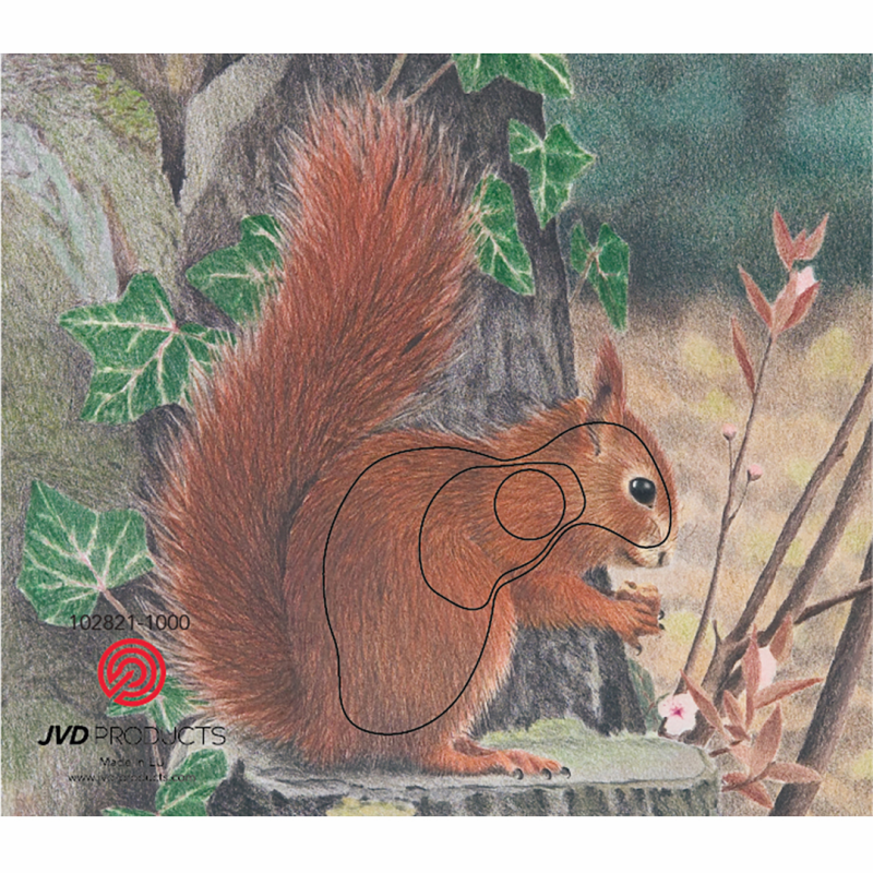 Target Face Animal Squirrel