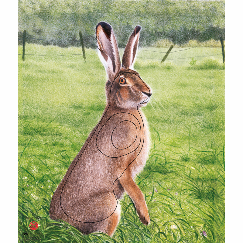Target Face Animal Hare