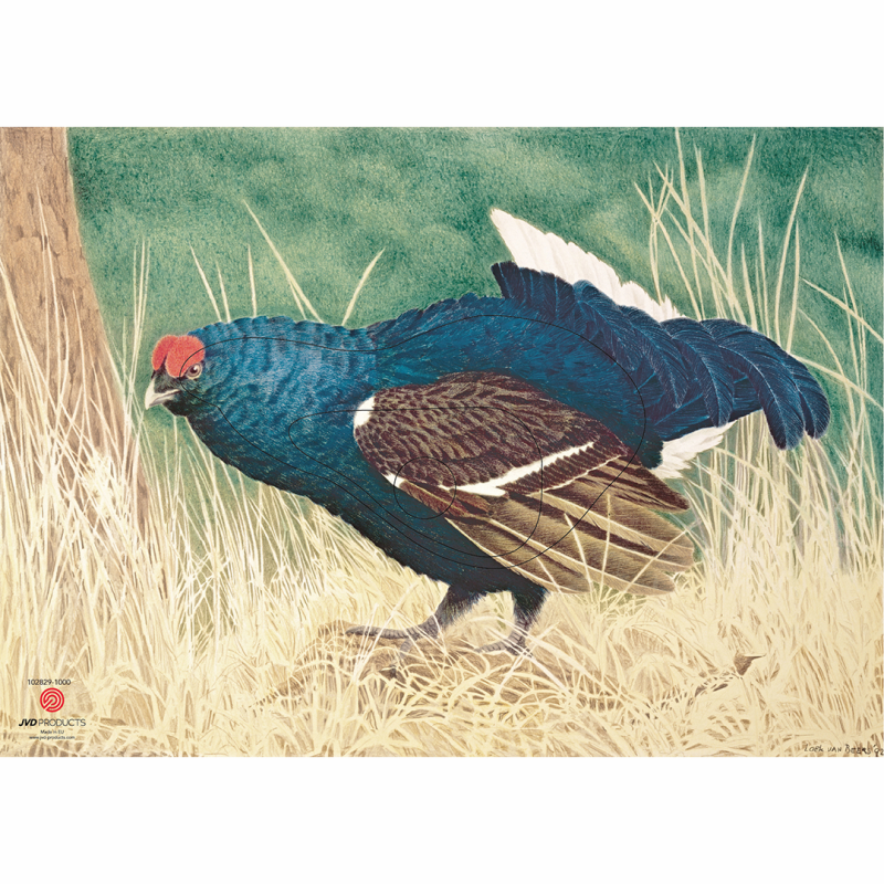 Target Face Animal Blue Grouse
