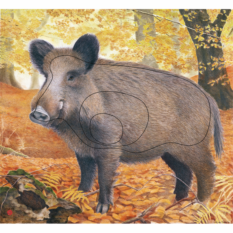 Target Face Animal Wild Boar