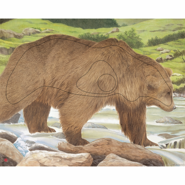 JVD Target Face Animal Bear