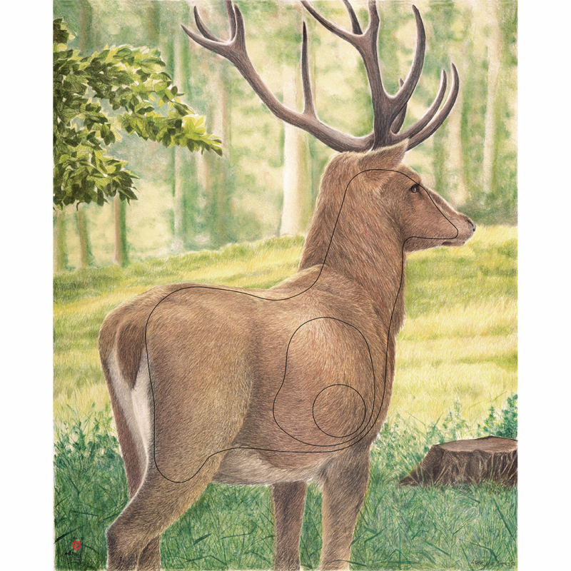 Target Face Animal Large Deer